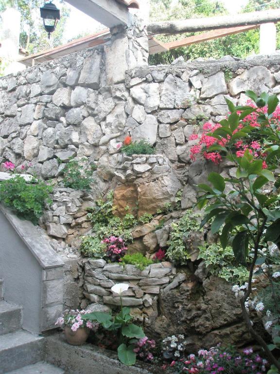 Apartments Baric Medvinjak Εξωτερικό φωτογραφία